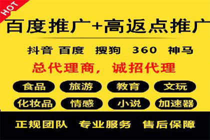 竞价广告端口开户的典型案例剖析